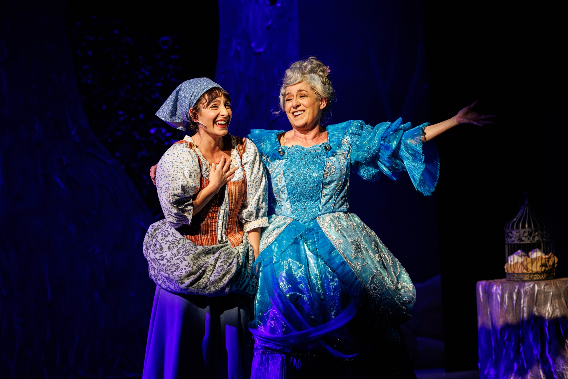 Tyhe fairy godmother reveals herself to Cinderella.